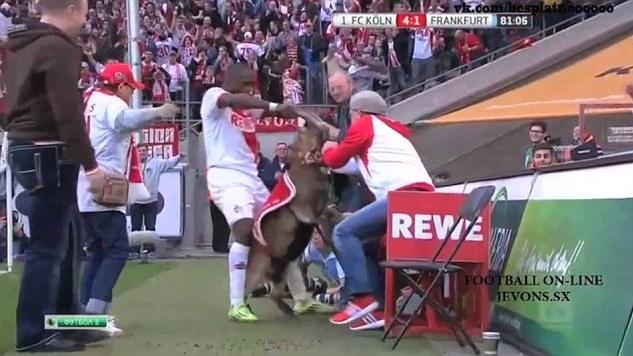 - INDOSPORT